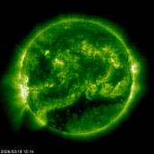 SOHO EIT 195 image of the sun