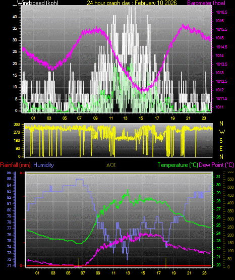 24 Hour Graph for Day 10