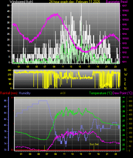 24 Hour Graph for Day 11