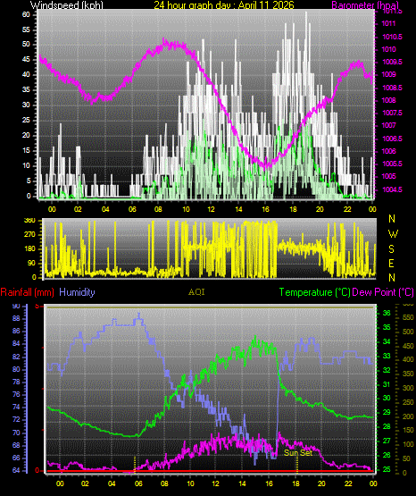 24 Hour Graph for Day 11